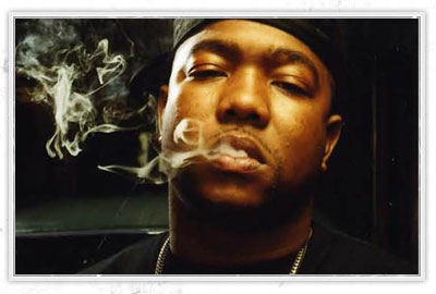 Gorilla Zoe